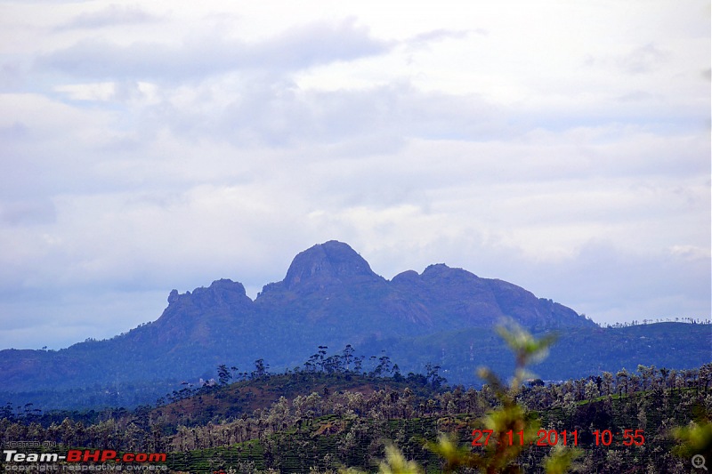 Fauji's Drivologues - Unwinding in wonderful Wayanad over the weekend!-dsc_0373.jpg