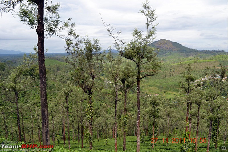 Fauji's Drivologues - Unwinding in wonderful Wayanad over the weekend!-dsc_0375.jpg