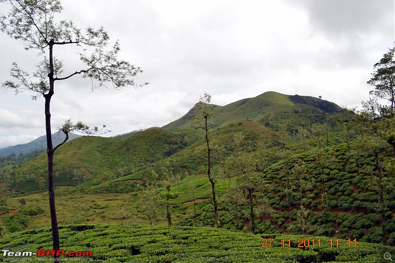 Fauji's Drivologues - Unwinding in wonderful Wayanad over the weekend!-dsc_0380.jpg