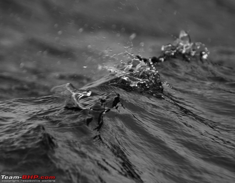 River Tern Jungle Lodge, Kemmanugundi and then some-pc192365.jpg