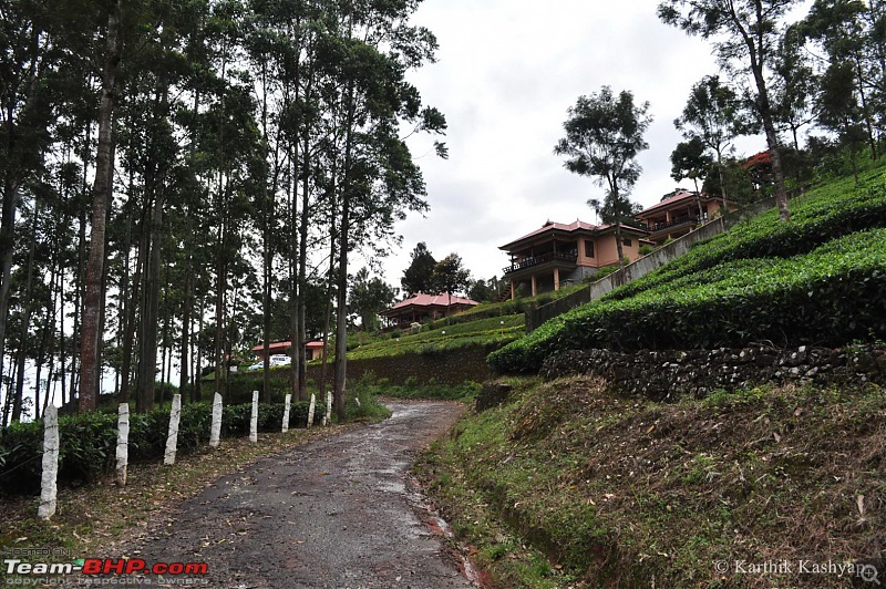 The Jet flies to Munnar: A 1000 km blast to God's own mountains-dsc_0138.jpg