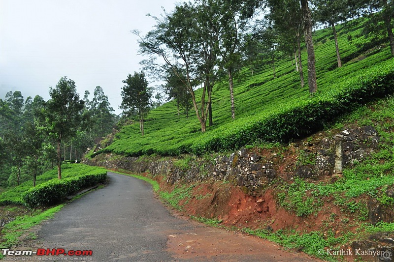 The Jet flies to Munnar: A 1000 km blast to God's own mountains-dsc_0380.jpg