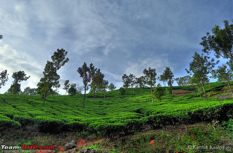 The Jet flies to Munnar: A 1000 km blast to God's own mountains-dsc_0392_3_4_tonemapped.jpg
