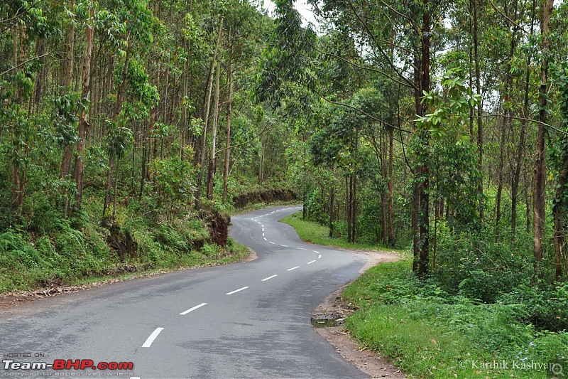 The Jet flies to Munnar: A 1000 km blast to God's own mountains-dsc_0418.jpg