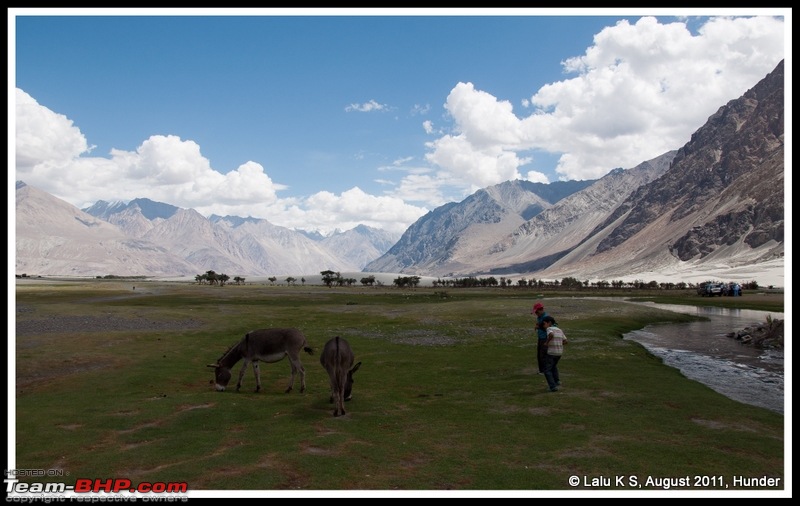 HumbLeh'd II (Indo Polish Himalayan Expedition to Ladakh & Himachal Pradesh)-dsc_9900.jpg