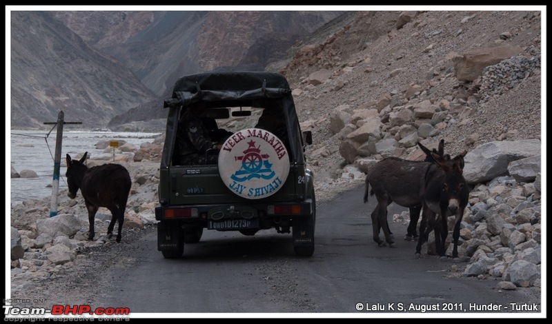 HumbLeh'd II (Indo Polish Himalayan Expedition to Ladakh & Himachal Pradesh)-dsc_0188.jpg