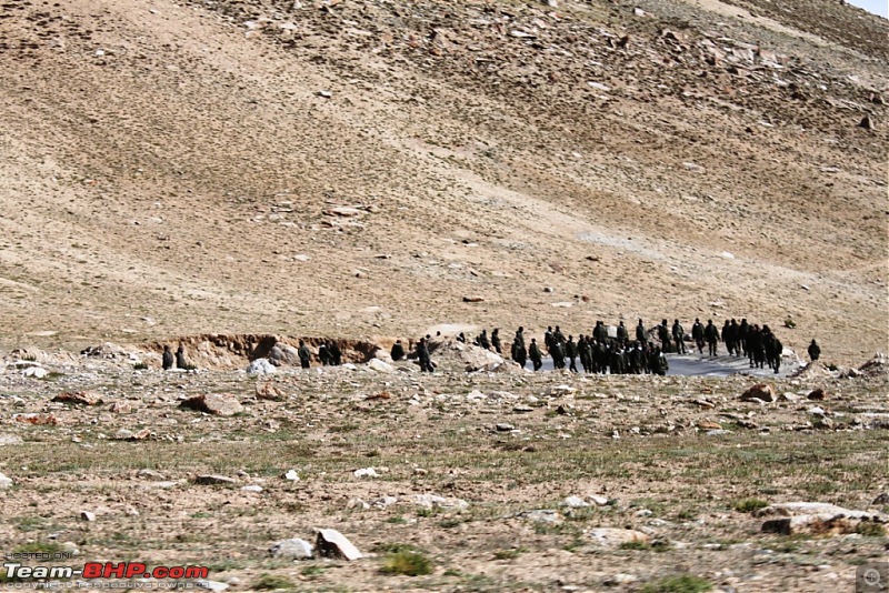 HumbLeh'd II (Indo Polish Himalayan Expedition to Ladakh & Himachal Pradesh)-img_0070.jpg