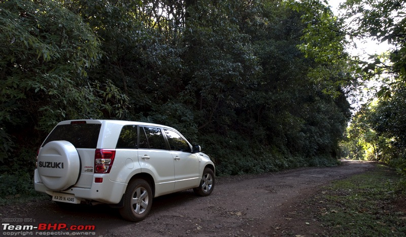 River Tern Jungle Lodge, Kemmanugundi and then some-pc192569.jpg