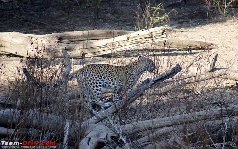 Sariska Tiger Reserve - Land of Tigers? Quick getaway from Gurgaon-dsc04057.jpg