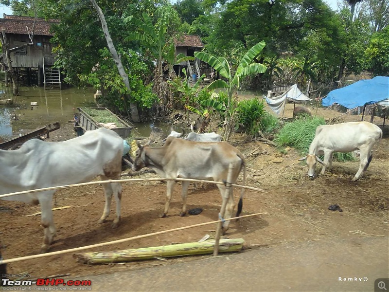 Footloose in VAMBODIA (Vietnam + Cambodia)-dsc03675.jpg
