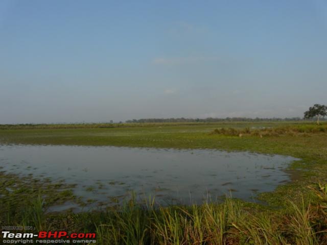 Kaziranga National Park-World Heritage Site-kaziranga_12-31_0028.jpg