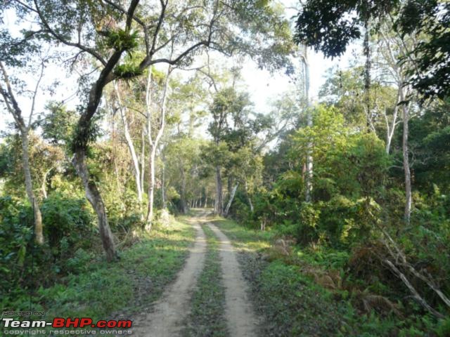 Kaziranga National Park-World Heritage Site-kaziranga_12-31_0052.jpg