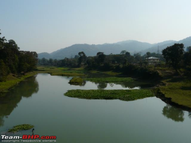 Kaziranga National Park-World Heritage Site-kaziranga_12-31_0177.jpg