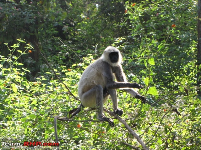 Travelogue: Bangalore-Coorg-Nagarhole-Bangalore-img_2479-640x480.jpg