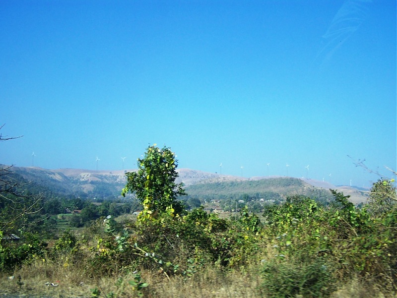 2011 Year-end trip to Konkan-100_6010.jpg