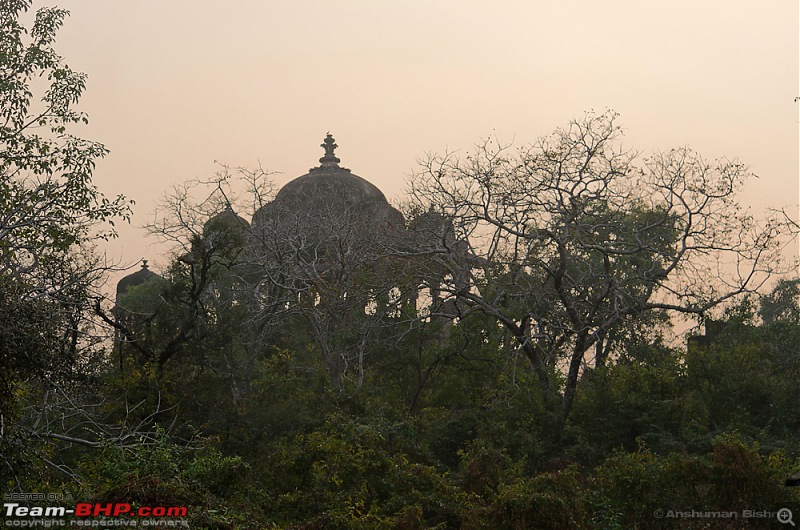 Ranthambore National Park: A Quick Travelogue-dsc_3351acr_1.jpg