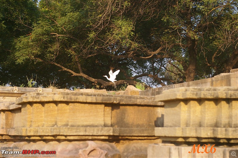 Modhera, Patan and Udaipur - A photologue-imgp7905.jpg