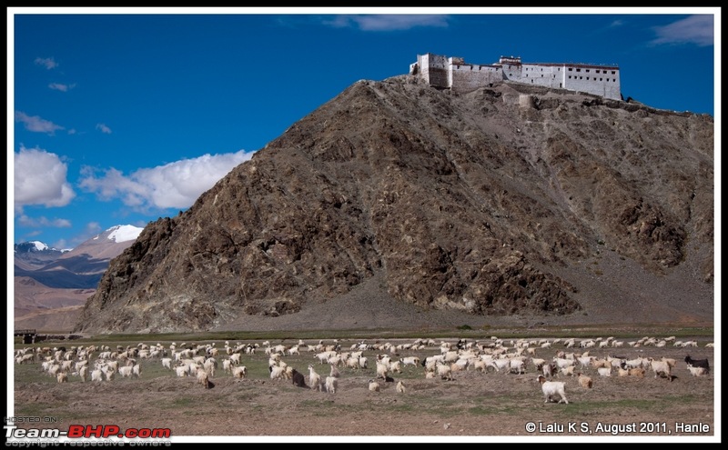 HumbLeh'd II (Indo Polish Himalayan Expedition to Ladakh & Himachal Pradesh)-dsc_2551.jpg