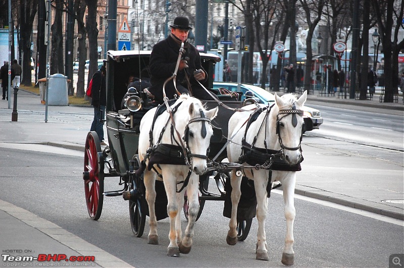 YetiBlog - Weihnachten 2011 und Silvester 2012-dsc_2861_l.jpg