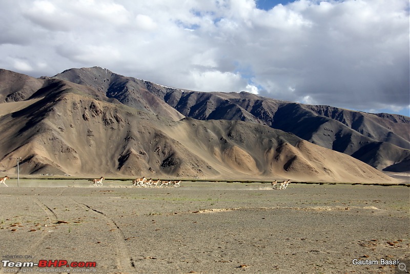 HumbLeh'd II (Indo Polish Himalayan Expedition to Ladakh & Himachal Pradesh)-img_4853.jpg