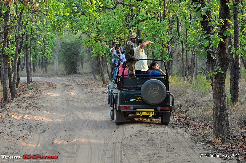 Call of the Wild: A 3500 km roadtrip to Pench, Bandhavgarh and Kanha in a Fortuner-dsc_5682.jpg