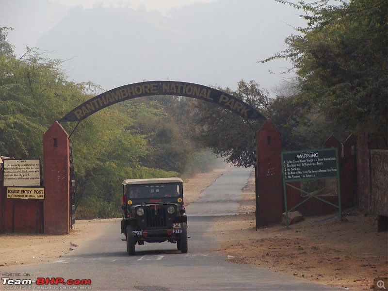 Hawk-On-Fours (H-4) Roadtrip: Ranthambhore & Sariska, then Bharatpur-dsc06803k300.jpg