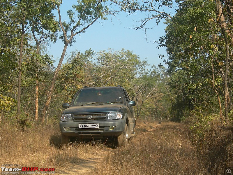 Safari Dicor LX VTT-TMT Xtreme Travel - Orissa's Unkown Forests: Debrigarh & Sunabeda-dscn3173e.jpg