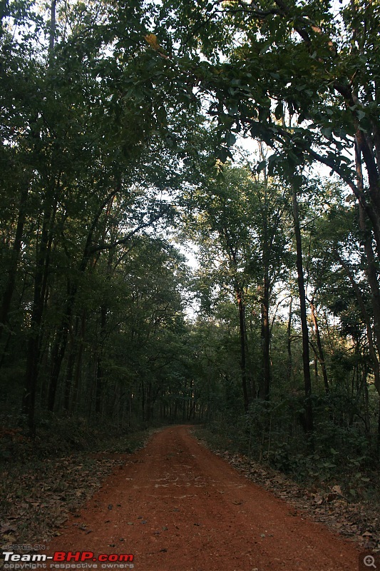 Safari Dicor LX VTT-TMT Xtreme Travel - Orissa's Unkown Forests: Debrigarh & Sunabeda-img_4309e.jpg