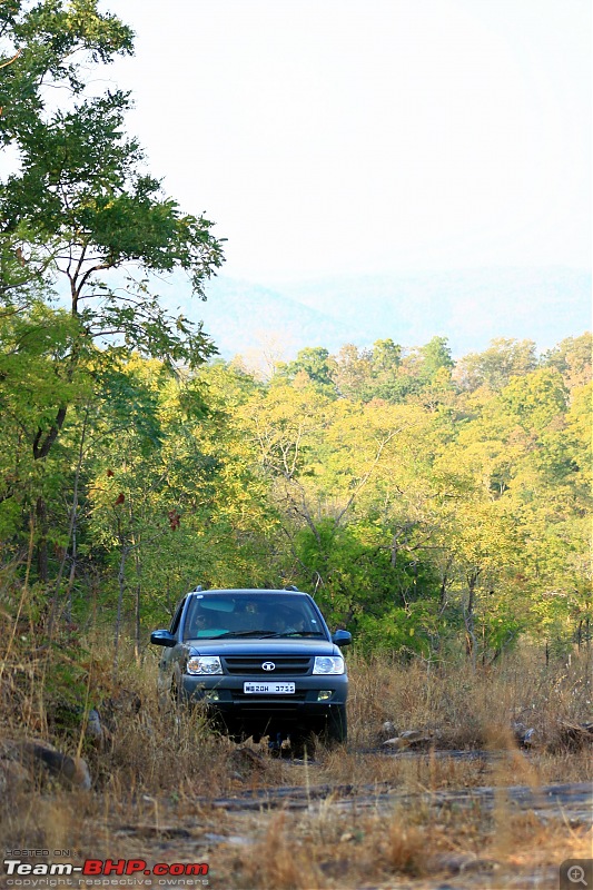 Safari Dicor LX VTT-TMT Xtreme Travel - Orissa's Unkown Forests: Debrigarh & Sunabeda-img_4447.jpg