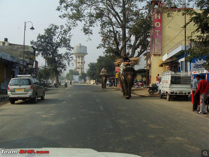 Hawk-On-Fours (H-4) Roadtrip: Ranthambhore & Sariska, then Bharatpur-dsc06691k300.jpg