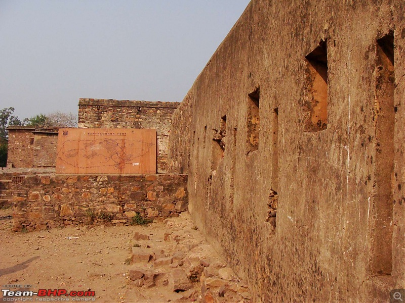 Hawk-On-Fours (H-4) Roadtrip: Ranthambhore & Sariska, then Bharatpur-dsc06771k300.jpg