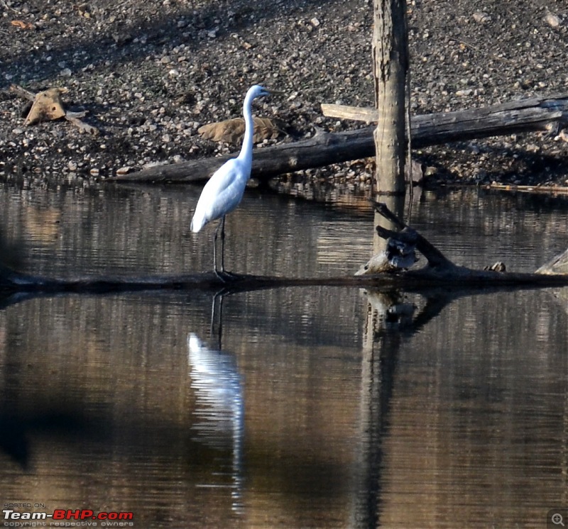 Fauji's Drivologues - Christmas in Wintry Wilderness and New Year on Sunny sands!-dsc_0874.jpg