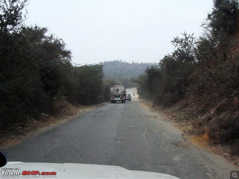 Hawk-On-Fours (H-4) Roadtrip: Ranthambhore & Sariska, then Bharatpur-dsc06907k300.jpg