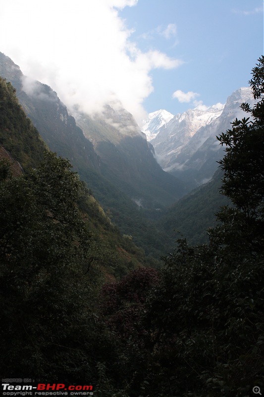 Annapurna Sanctuary Trek, Nov. 2011-img_1396.jpg