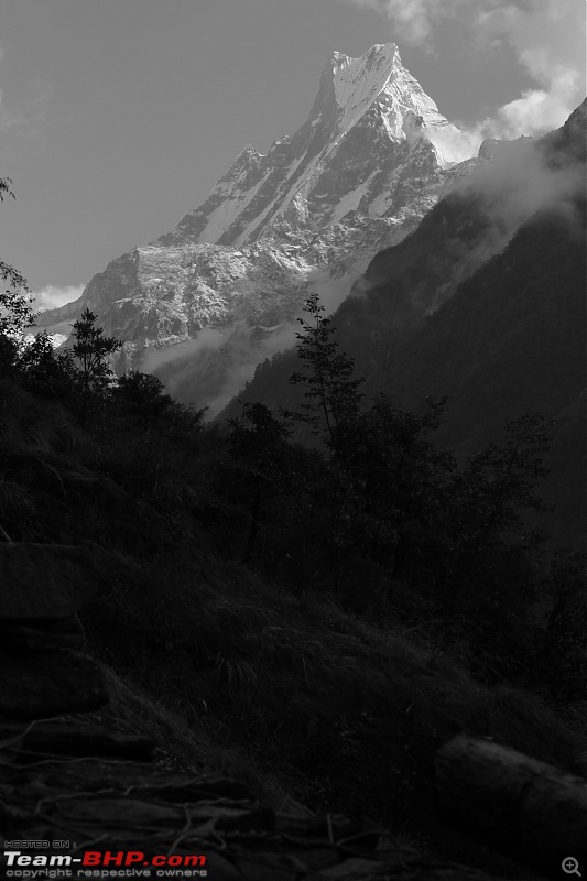 Annapurna Sanctuary Trek, Nov. 2011-img_1385.jpg