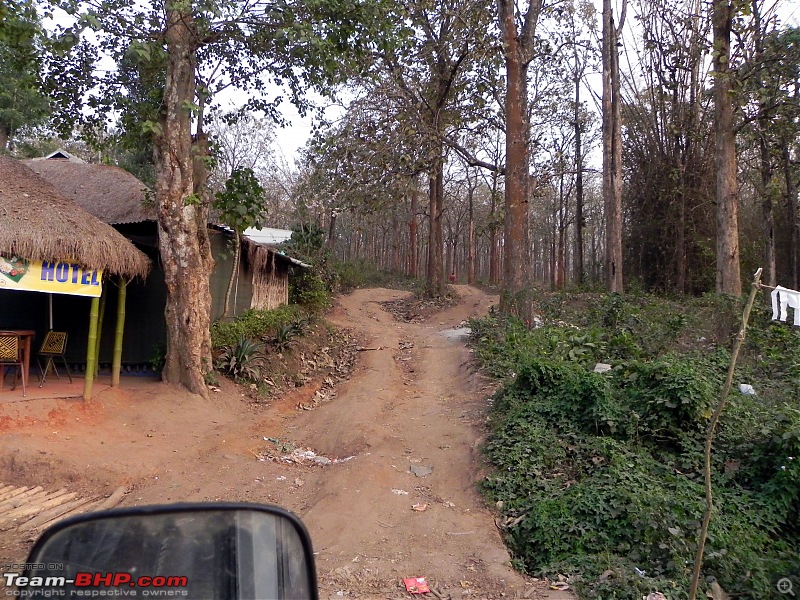 Wayanad - 'Gods Own District' in 'Gods Own Country'!!..-1.jpg