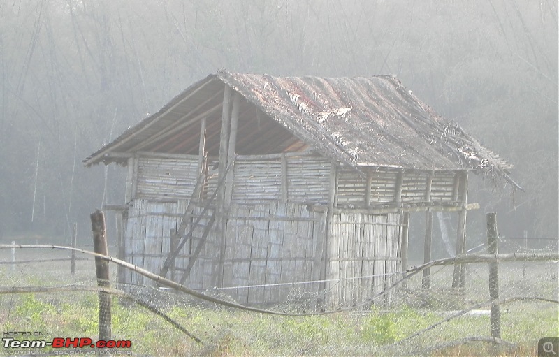 Wayanad - 'Gods Own District' in 'Gods Own Country'!!..-dscn5953-copy.jpg