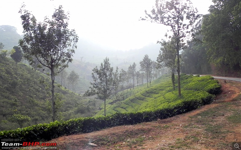 Wayanad - 'Gods Own District' in 'Gods Own Country'!!..-dscn6557-copy.jpg