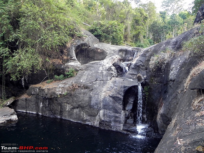 Wayanad - 'Gods Own District' in 'Gods Own Country'!!..-dscn6595-copy.jpg