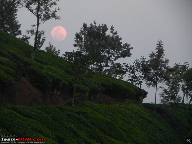 Wayanad - 'Gods Own District' in 'Gods Own Country'!!..-dscn6641-copy.jpg