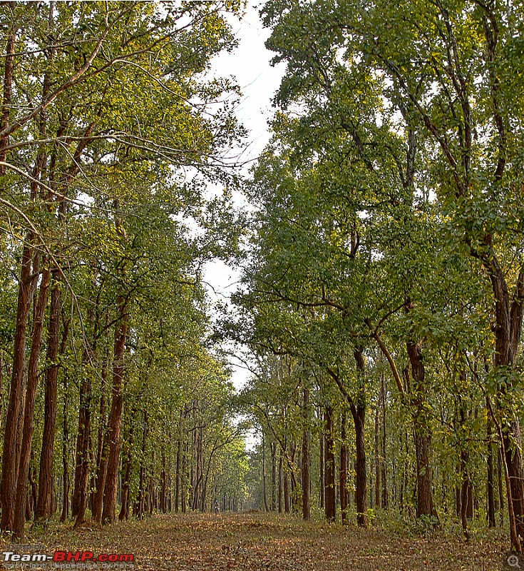 Kanha National Park: Photologue-untitled_hdr2.jpg