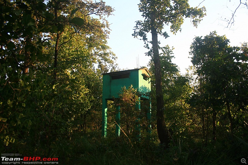 Safari Dicor LX VTT-TMT Xtreme Travel - Orissa's Unkown Forests: Debrigarh & Sunabeda-img_4759e.jpg