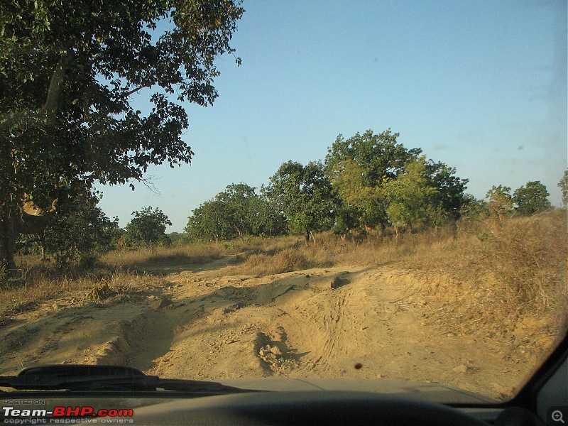 Safari Dicor LX VTT-TMT Xtreme Travel - Orissa's Unkown Forests: Debrigarh & Sunabeda-img_9116e.jpg