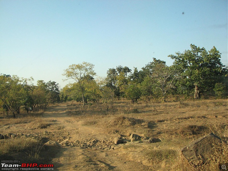 Safari Dicor LX VTT-TMT Xtreme Travel - Orissa's Unkown Forests: Debrigarh & Sunabeda-img_9122e.jpg