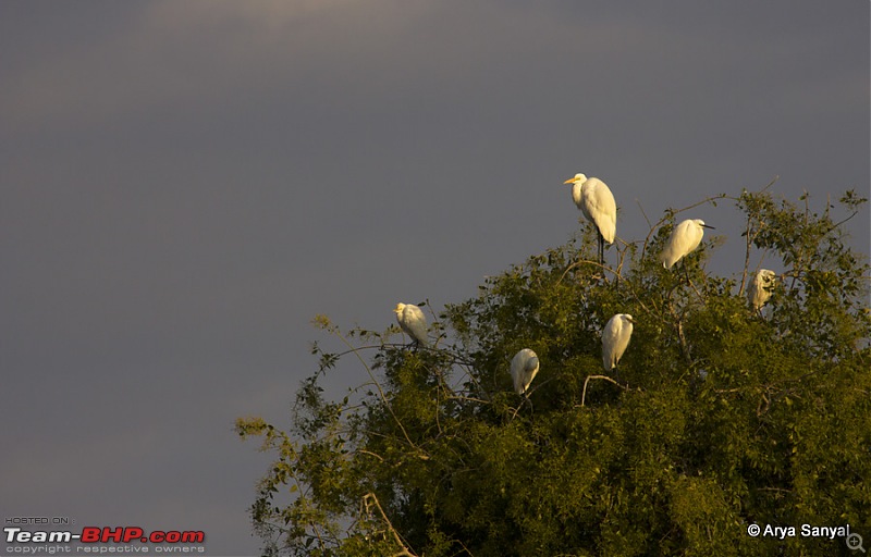 Captivating Kutch: A trip to Gujarat's outback.-_mg_4329.jpg