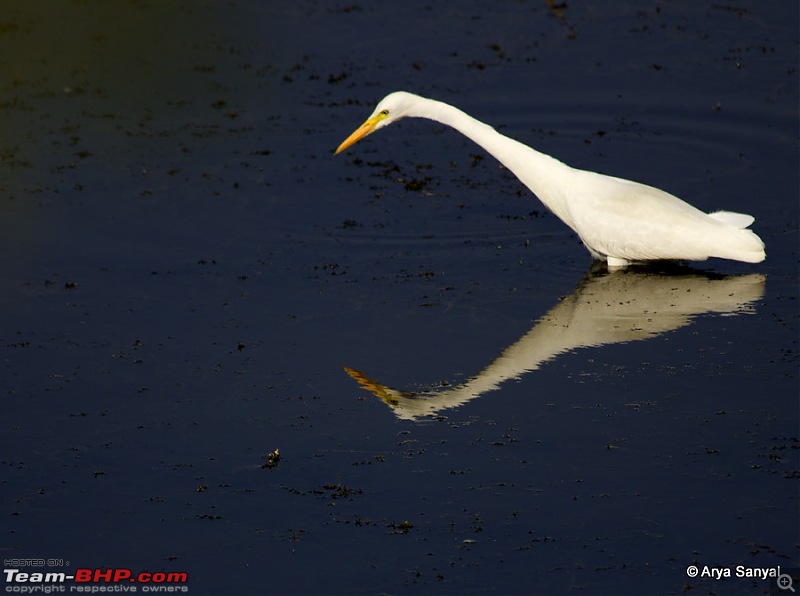 Captivating Kutch: A trip to Gujarat's outback.-_mg_4183.jpg