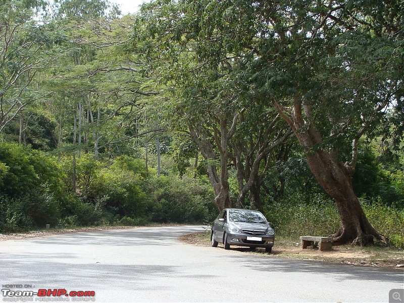 Nandi to "Nandi Hills"-5.jpg