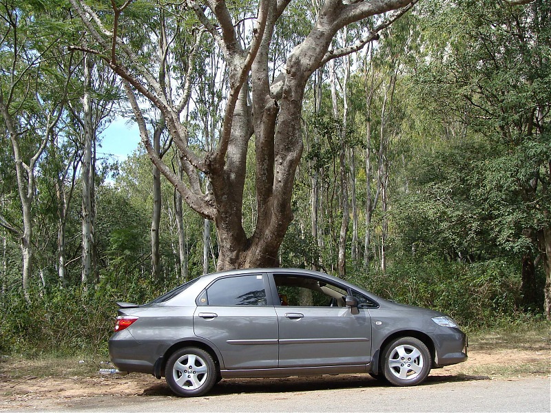 Nandi to "Nandi Hills"-6.jpg