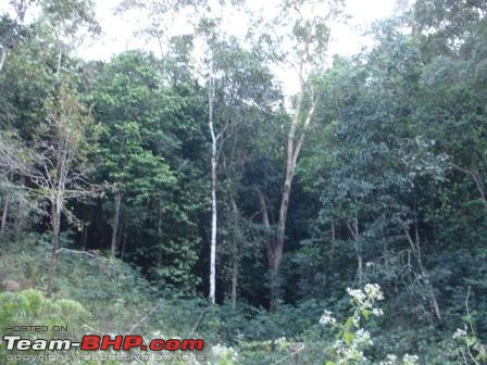 2008 yearend trip - Sirsi, Yana, Gokarna, Kumta, Murudeshwar, Jog falls and some more-virgin-forests.jpg