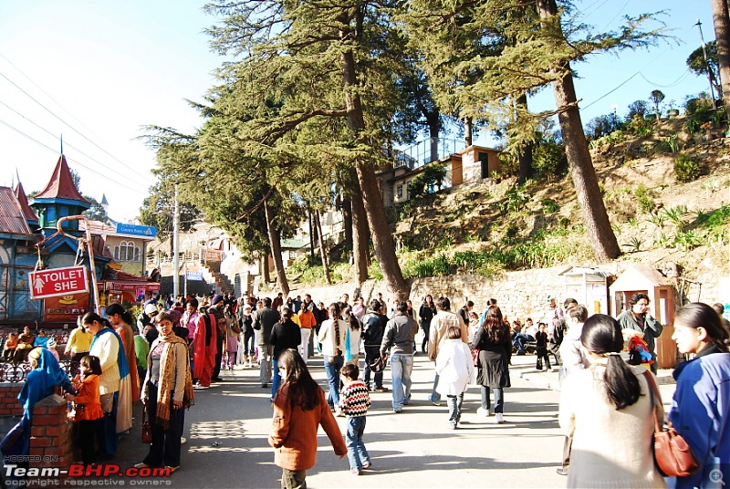 Cold,Nippy,Frosty,Chilly Escapade to Himachal Pradesh !!!!-dsc_4960.jpg